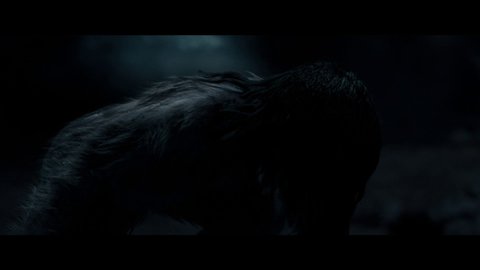 Bel Powley Nude Naked Pics And Sex Scenes At Mr Skin