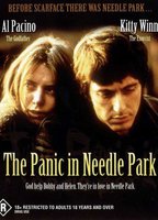 the panic in needle park